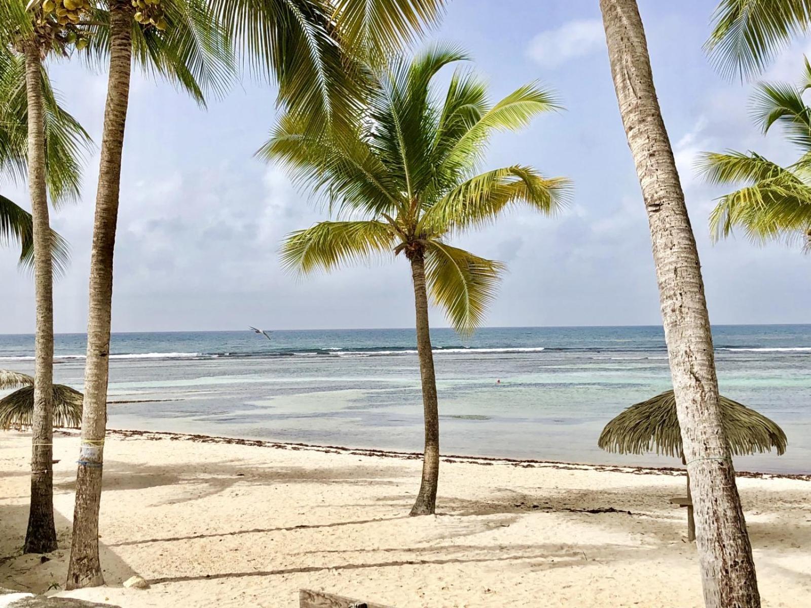 Guadeloupe- Saint-Francois- Residence Anse Des Rochers - Appartement Quart De Villa Etage - Vue Mer- 4 Personnes - Lit Bebe Sur Demande - Citerne Et Wifi Prives -Animaux Ok-Acces Plage Direct -Apnee Bien-Etre Experience Sur Demande Avec Instructeur A Bagian luar foto